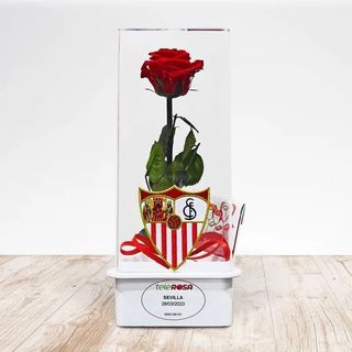 Rosa Eterna SEVILLA F.C 1,57