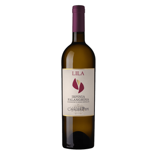 Lila Falanghina 37,5 cl