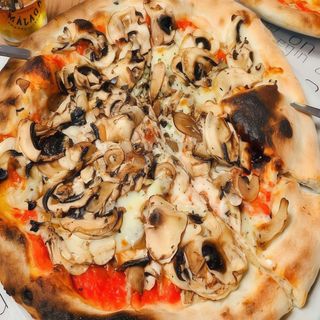 Pizza Funghi