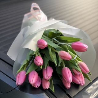 Букет 15 рожевих тюльпанів