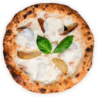 Gustosa