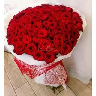 101 red  roses premium quality from holland .