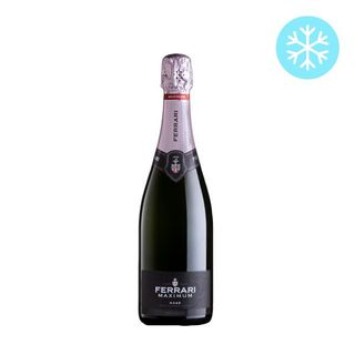 Maximum Rosé Trento DOC - freddo