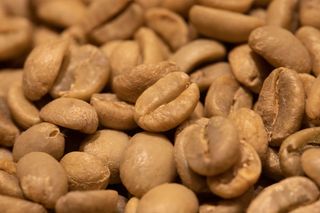 caffè TOSTATO FRESCO Ethiopia Sidamo Bagersh Corona 250 grammi