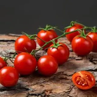 Ciliegino sicilia