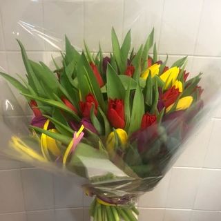Bukiet 55 kolorowych tulipanów