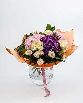 Hydrangea Mix