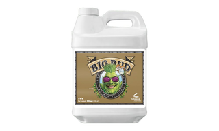Big Bud Coco 500 მლ