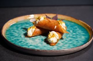 79. Sake crispy cannolo