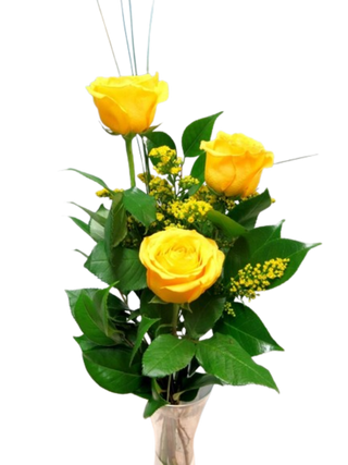 2 Rosas amarillas