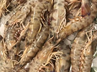 Langostino Sant Carles (250 G.)
