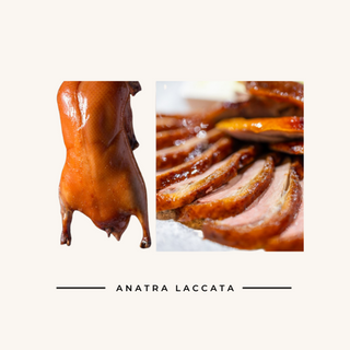 48. Anatra arrosto 1/4