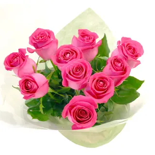 mazzo di 11 rose rosa