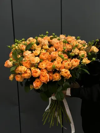 Кущова піоновидна троянда, 13 шт