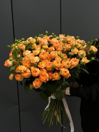 Кущова піоновидна троянда, 13 шт