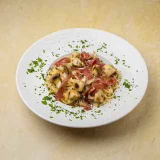 D Stefano