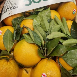 Arance a foglia non trattate al kg