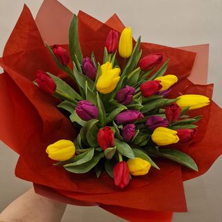 Buchet 25 Lalele Multicolor