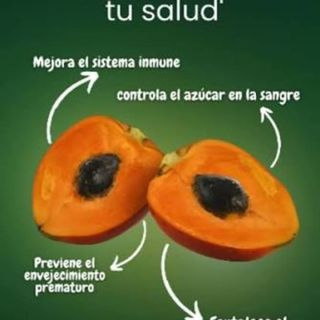 CHONTADURO