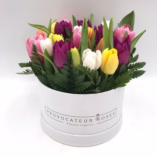 Caja Premium De Tulipanes Variados (15 Tallos)