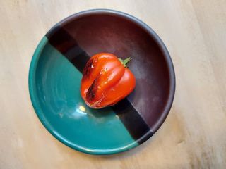 Habanero (picante)