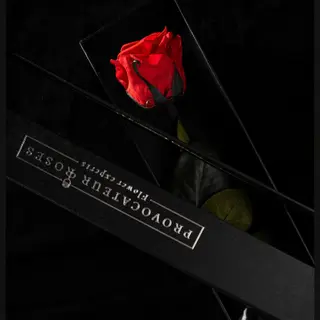 Rosa eterna roja
