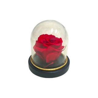 Mini Campânula Rosa Vermelha