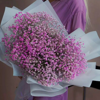 Bukiet różowej / fioletowej gipsówki 