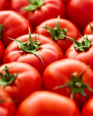 Шаурма Vegan Fresh Glovo