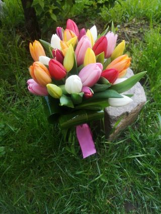 Buchet 31 lalele multicolore