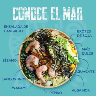 Regla 3, Conoce El Mar