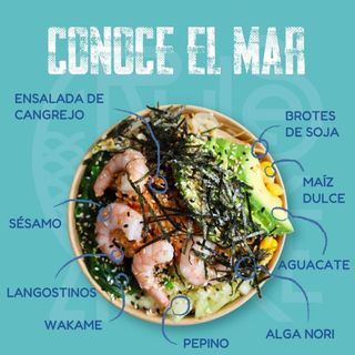 Regla 3, Conoce El Mar