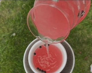 Крафтовий чай "Грейпфрут-ялівець"