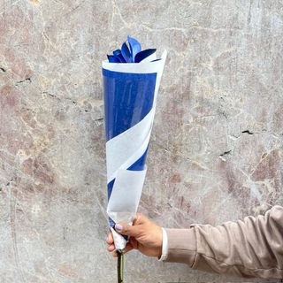 Rosa Azul Unidad