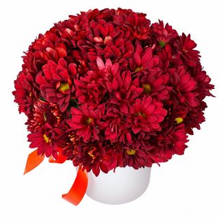 Композиція"Червоний оксамит"