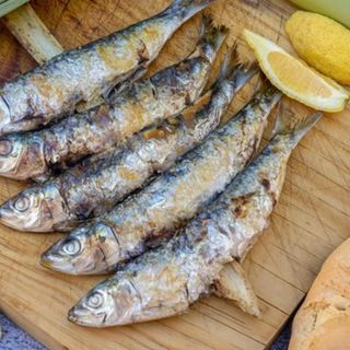 sardinas 