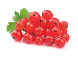 Coacaze rosii import caserola 125 g