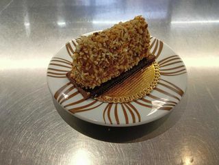 Cremoso alla nocciola con biscotto al cioccolato