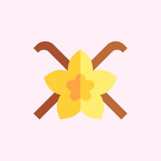 Helado de vainilla (500 ml.)