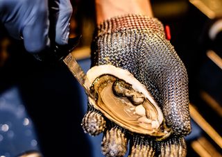 Чорна перлина №2 (1шт)