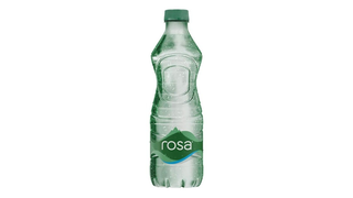 Rosa gazirana