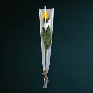 Trandafir Galben Ambalat