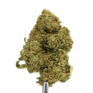 Weed'us Tutti Frutti 22% CBD 3g