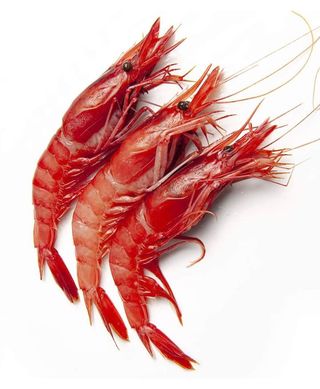 Gamba roja ALISTADO (250gr)