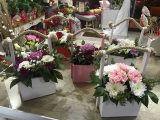 Korpica mix cvijeća