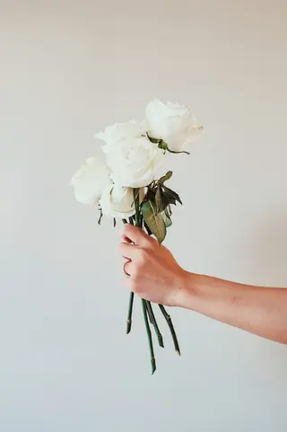 5 თეთრი ვარდი