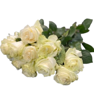 5 białych róż  ( długość 50-60 cm )