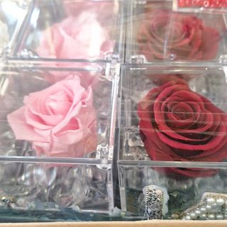 Rosa stabilizzata in cubo