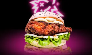 Mayo Bao