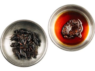 Цвіркуни фрі (5/10g)